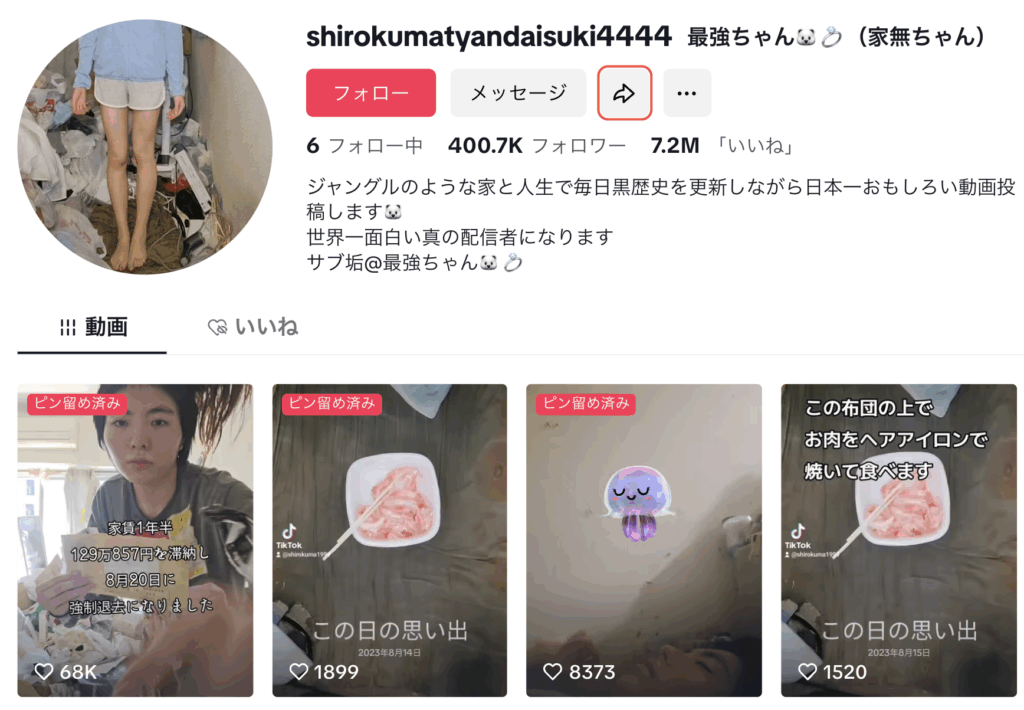 最強ちゃん　wiki　プロフィール